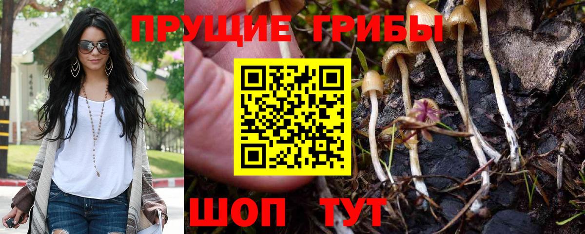 Галлюциногенные грибы прущие грибы Сухой Лог