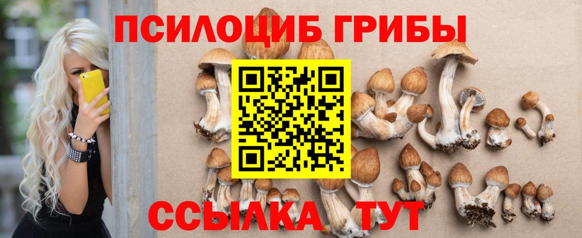 Сухой Лог  Псилоцибиновые грибы Cubensis  Вход с VPN  Галлюциногенные грибы MAGIC MUSHROOMS 